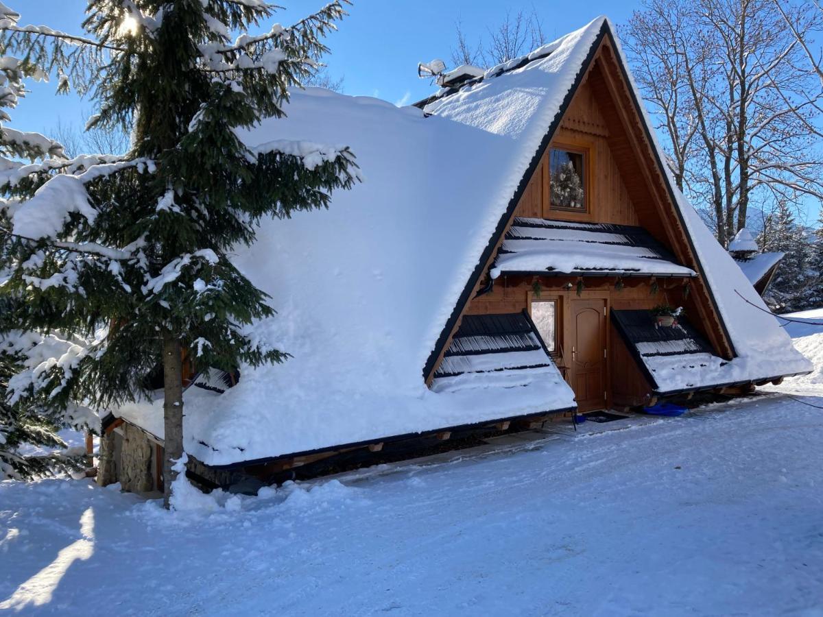Mountain Dream Apartment Koscielisko Exterior photo